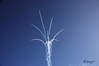 Filename=AE7743(640x428).JPG
Filesize=113KB
Dimensions=640x428
Date added=Nov 02, 2009 AE7743(640x428).JPG