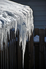 DSC_2883SM.jpg