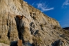 DSC_7904cr_(800_x_ratio).jpg